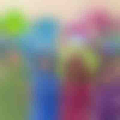 Jucărie, pernă și hanorac | PILLOWPET