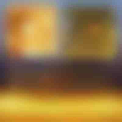 Instalatie de Craciun tip Plasă cu LED-uri | LUMONET