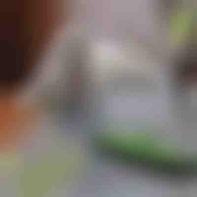 Mătură pentru îndepărtarea părului animalelor de companie | PAWMOP