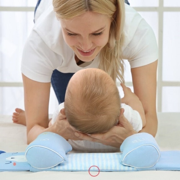 NAPILLO-3831127618239-N-2__011025